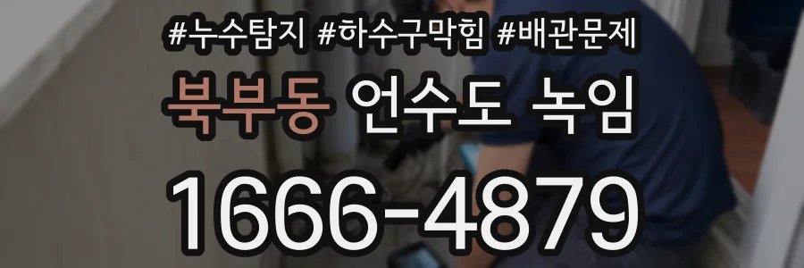 북부동 언수도 녹임