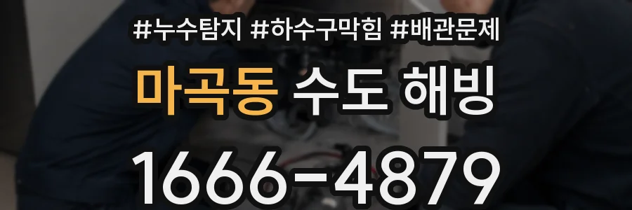마곡동 수도 해빙