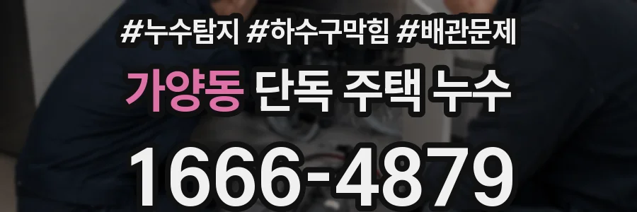 가양동 단독 주택 누수