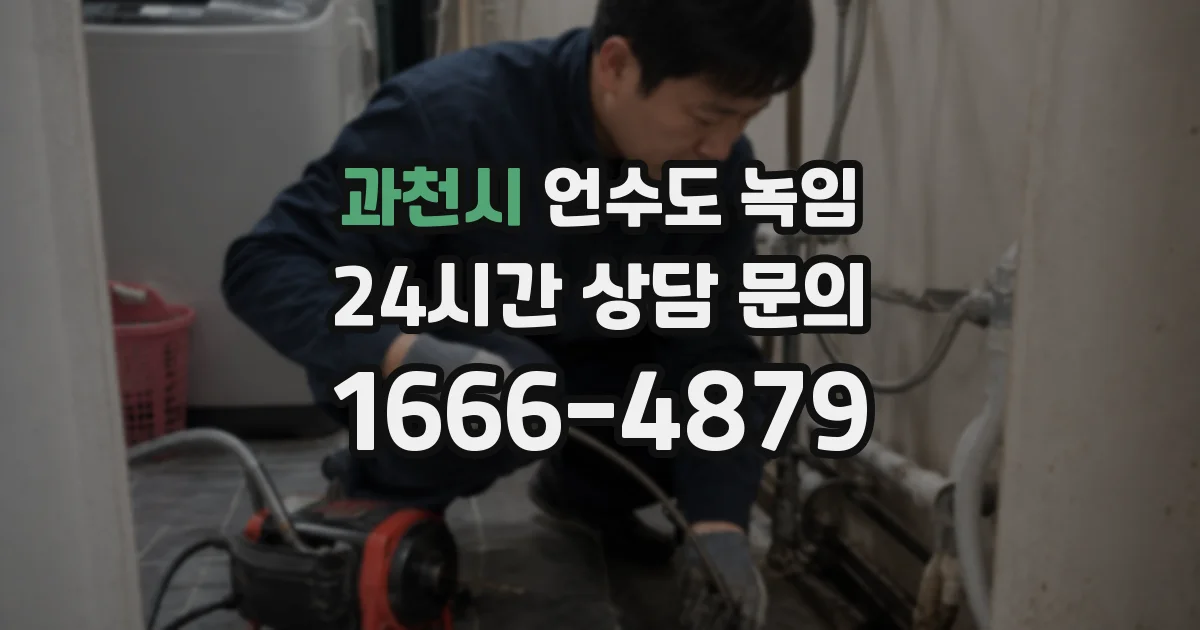 과천시 언수도 녹임