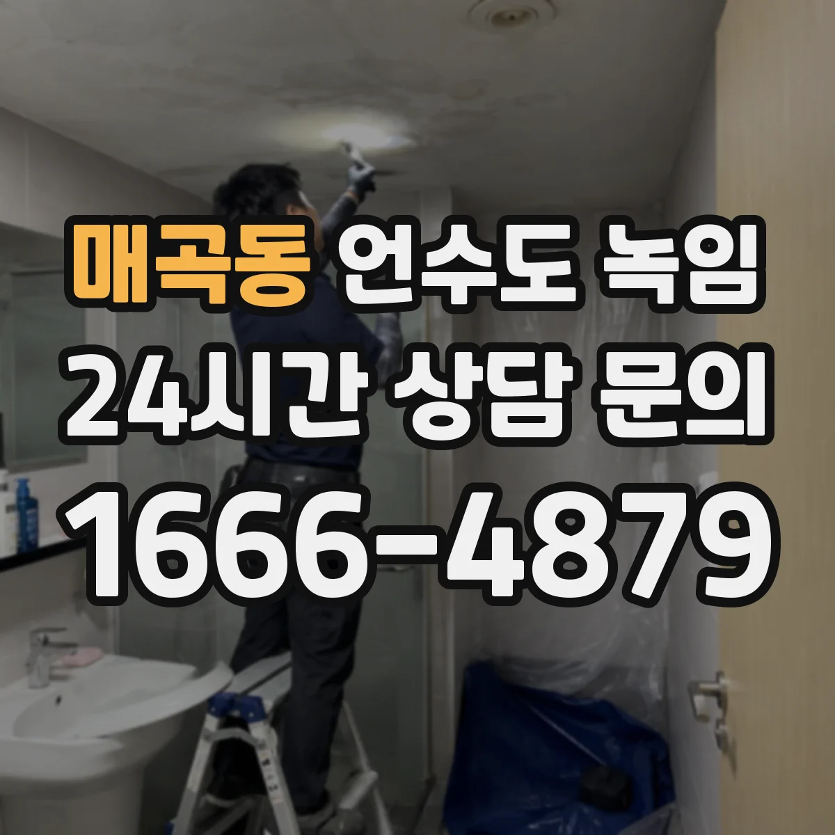 매곡동 언수도 녹임
