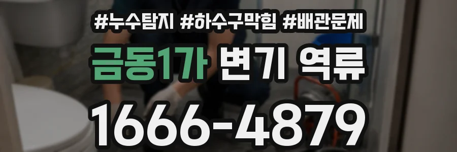 금동1가 변기 역류