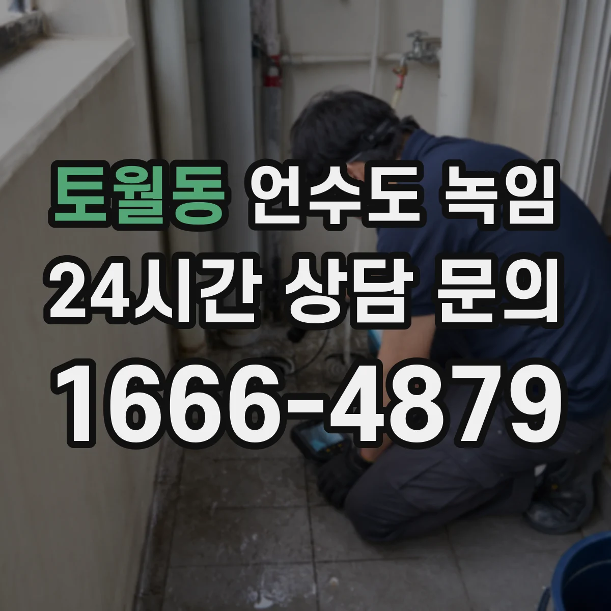 토월동 언수도 녹임