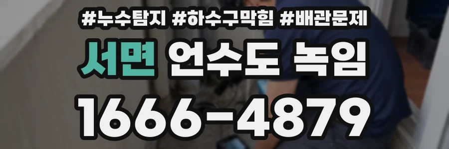 서면 언수도 녹임