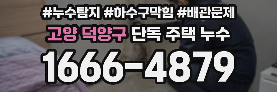 고양 덕양구 단독 주택 누수
