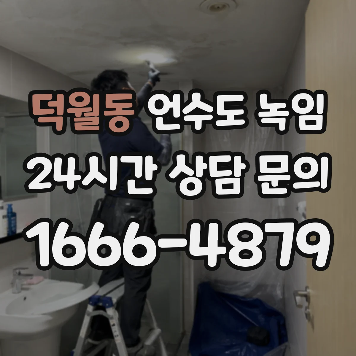 덕월동 언수도 녹임
