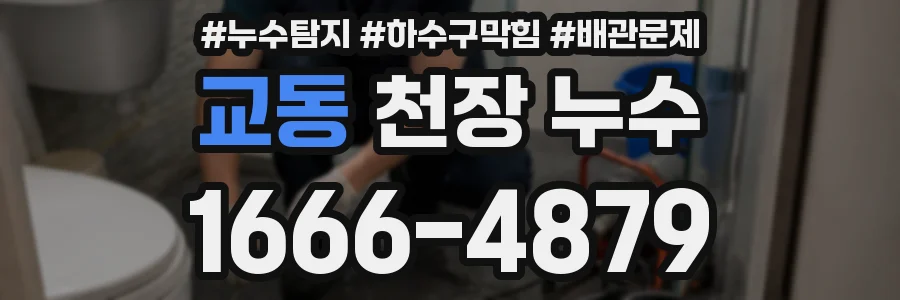 교동 천장 누수