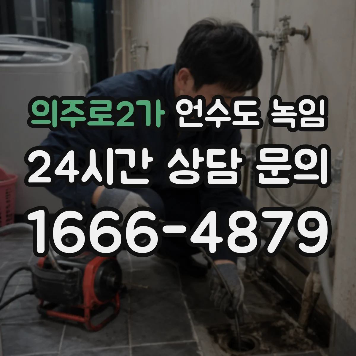 의주로2가 언수도 녹임
