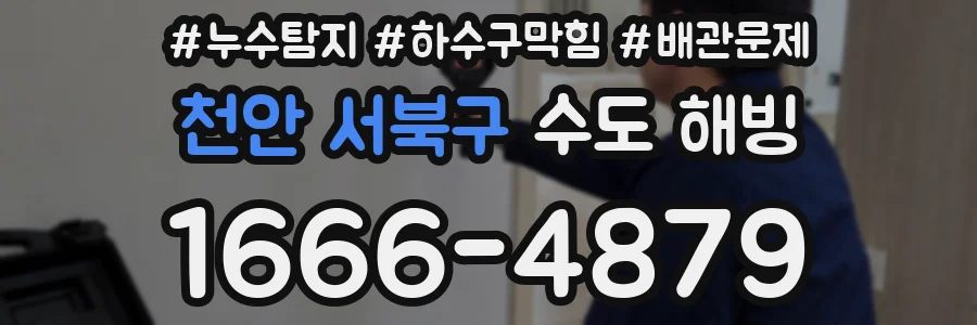 천안 서북구 수도 해빙