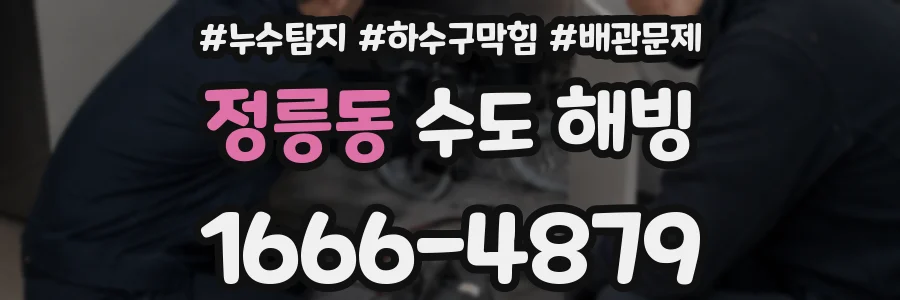 정릉동 수도 해빙