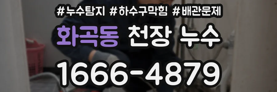 화곡동 천장 누수