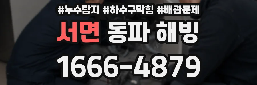 서면 동파 해빙