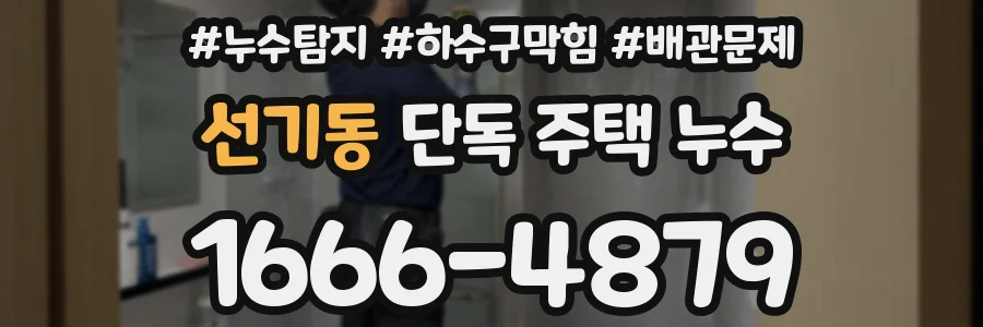 선기동 단독 주택 누수
