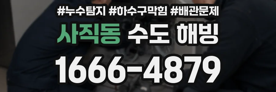 사직동 수도 해빙