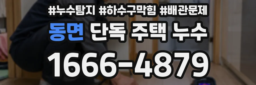 동면 단독 주택 누수