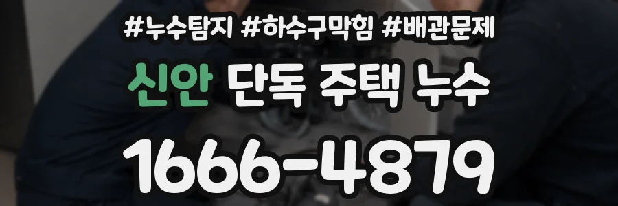 신안 단독 주택 누수