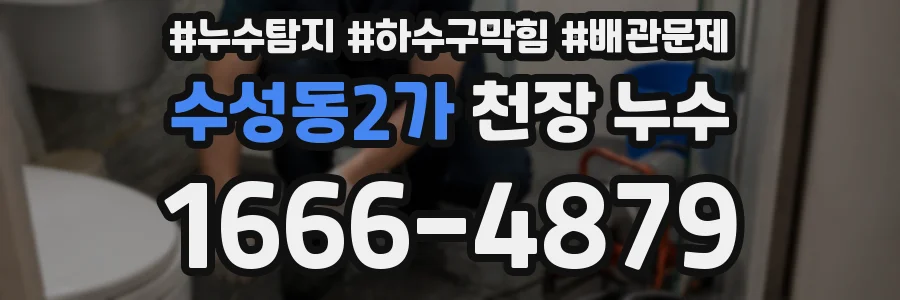 수성동2가 천장 누수
