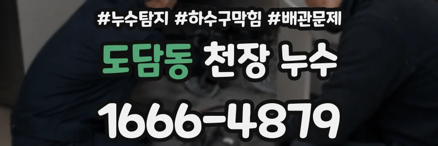 도담동 천장 누수