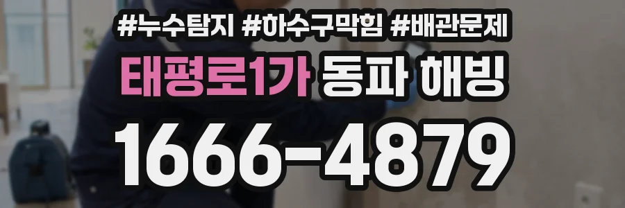 태평로1가 동파 해빙