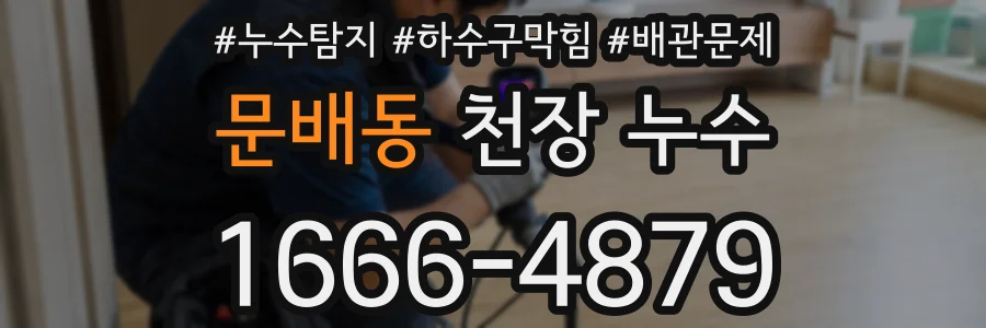 문배동 천장 누수