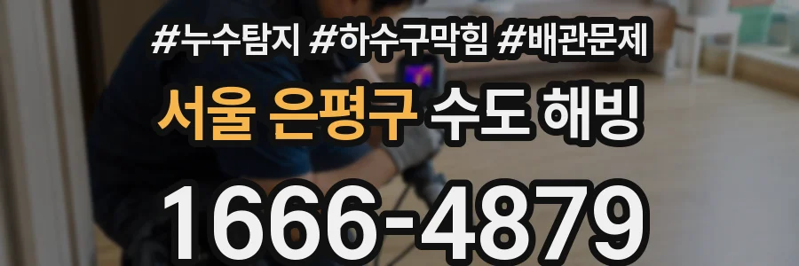 서울 은평구 수도 해빙