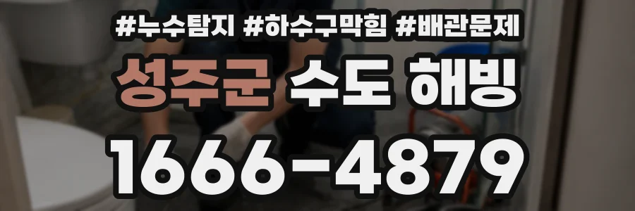 성주군 수도 해빙