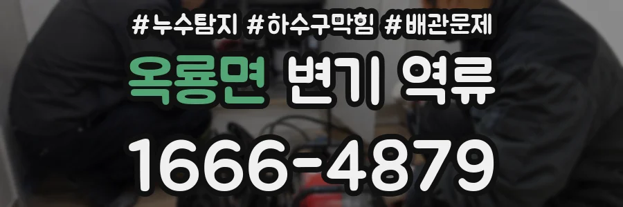 옥룡면 변기 역류