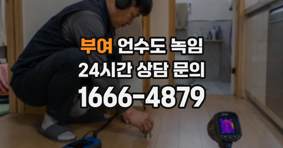 부여 언수도 녹임
