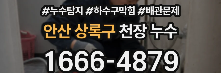 안산 상록구 천장 누수