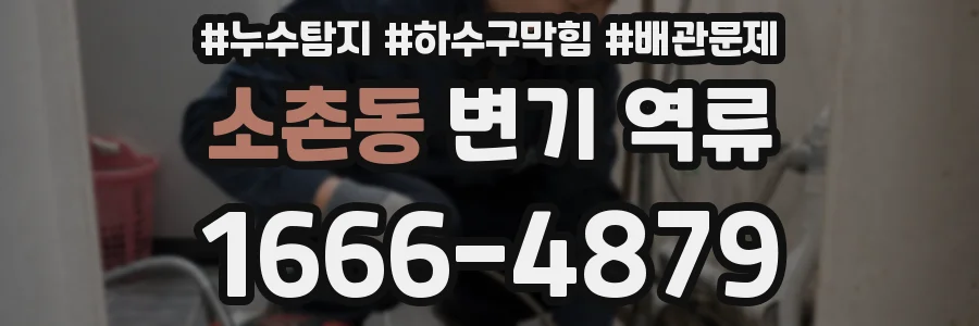 소촌동 변기 역류