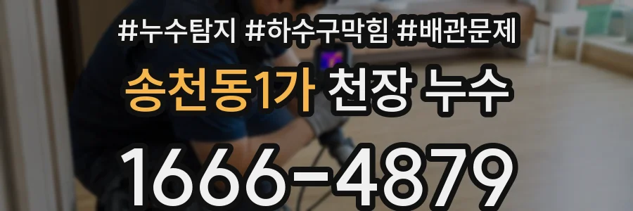 송천동1가 천장 누수