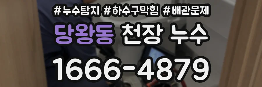 당왕동 천장 누수