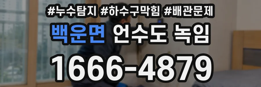 백운면 언수도 녹임