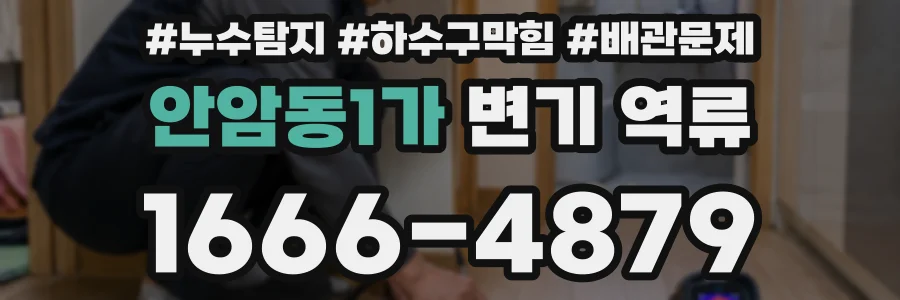 안암동1가 변기 역류