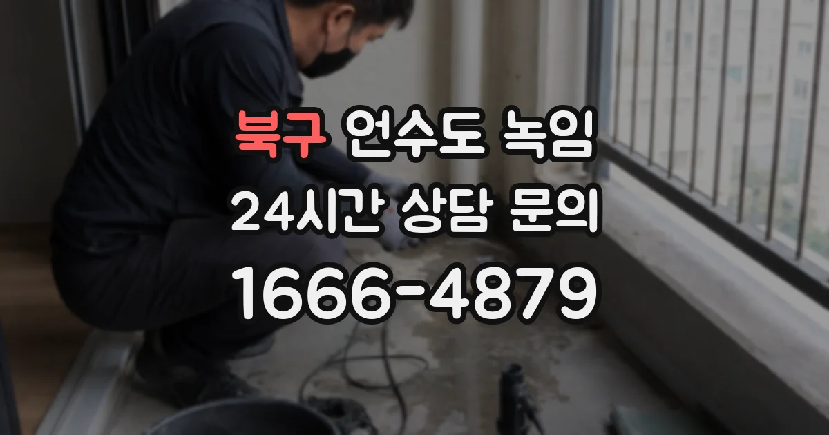 북구 언수도 녹임