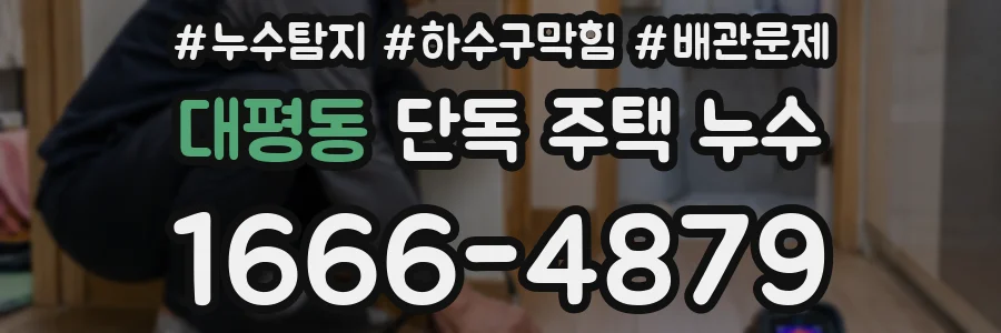 대평동 단독 주택 누수