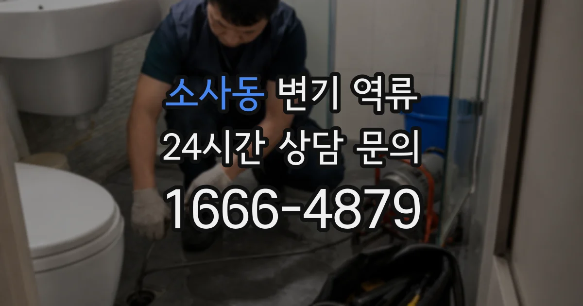소사동 변기 역류