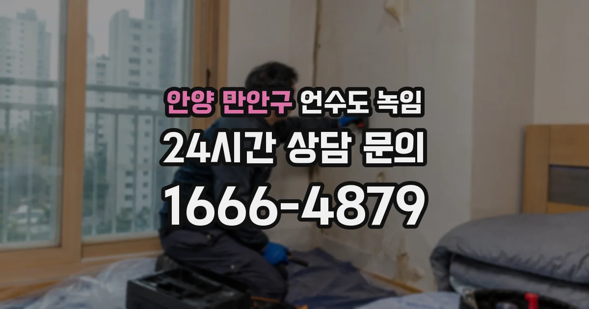 안양 만안구 언수도 녹임