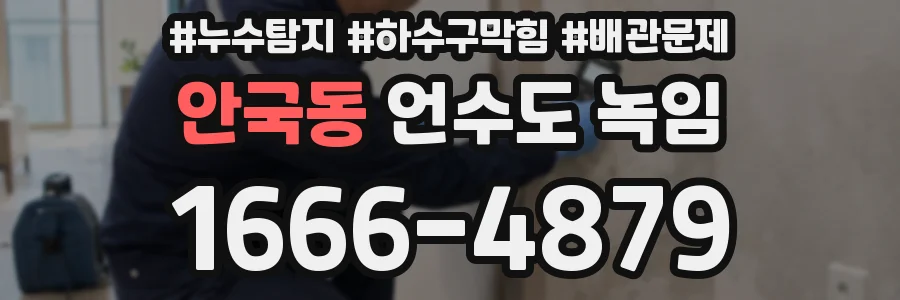 안국동 언수도 녹임