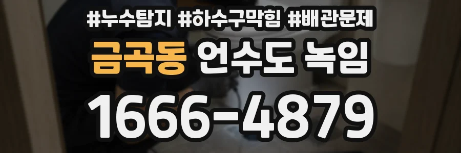 금곡동 언수도 녹임