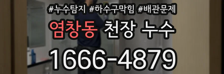 염창동 천장 누수