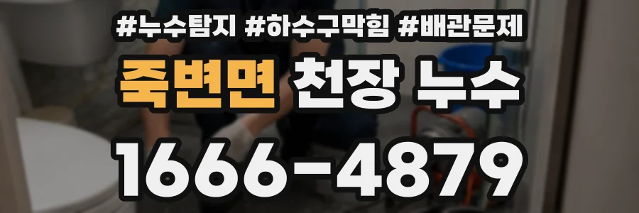 죽변면 천장 누수