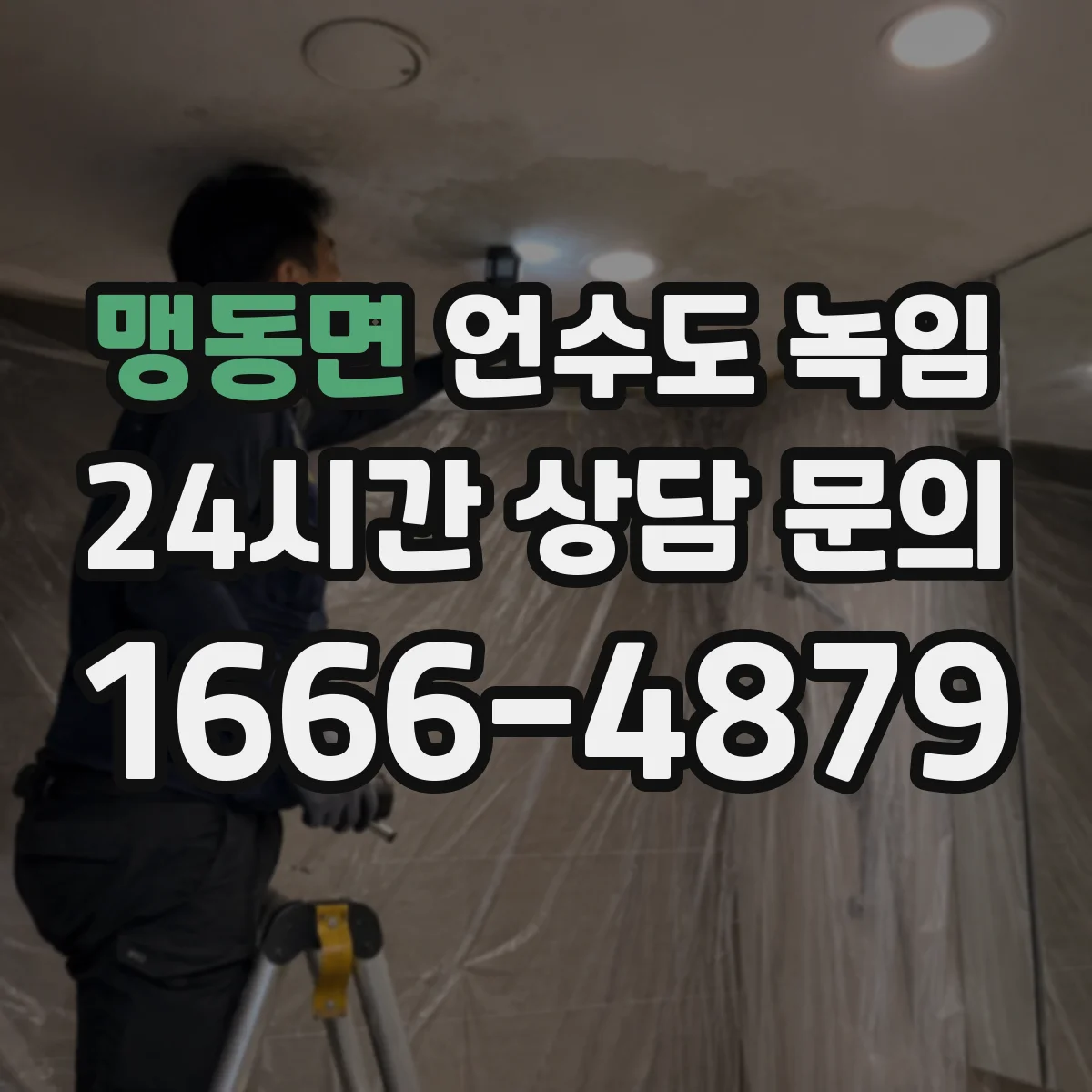 맹동면 언수도 녹임