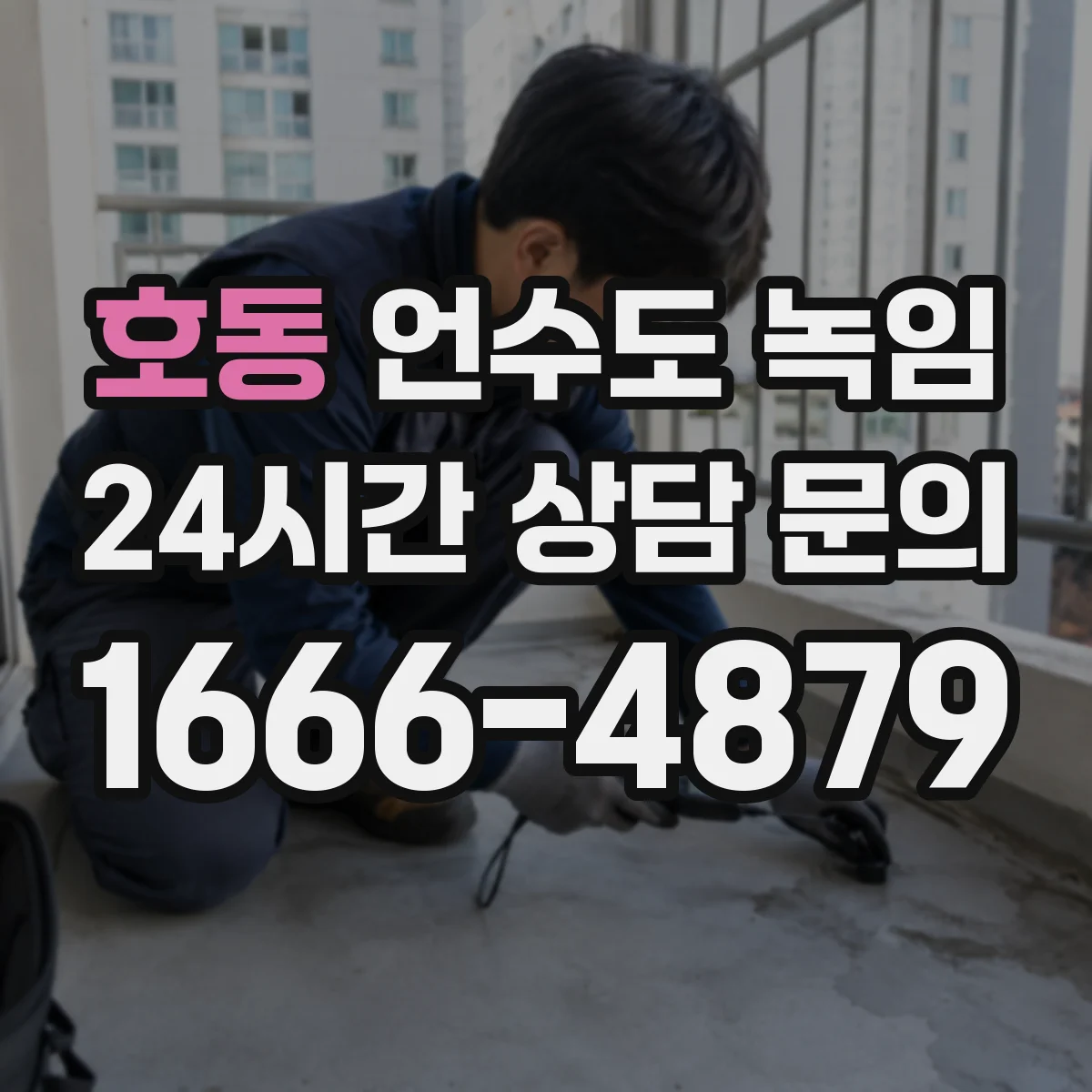 호동 언수도 녹임