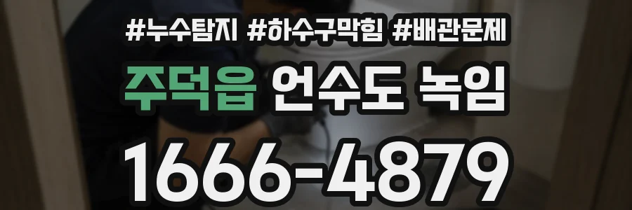 주덕읍 언수도 녹임