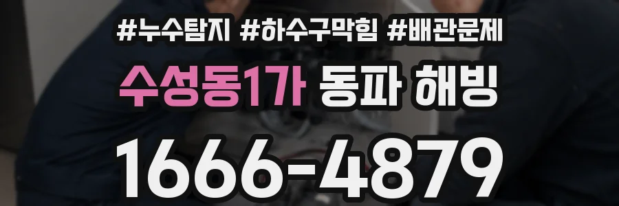 수성동1가 동파 해빙