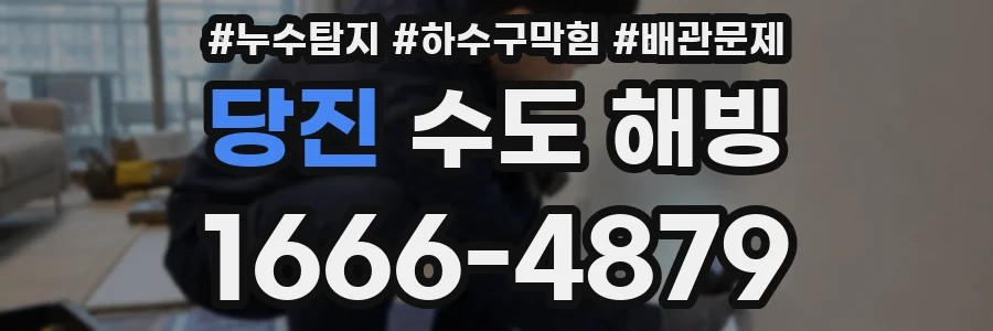 당진 수도 해빙