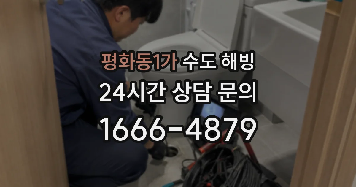 평화동1가 수도 해빙