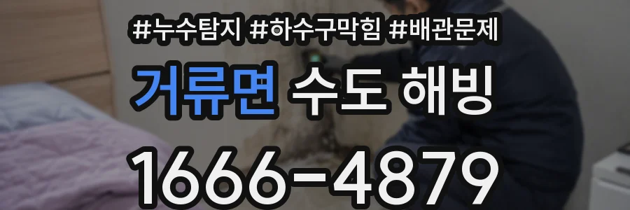 거류면 수도 해빙