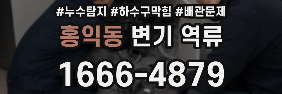홍익동 변기 역류
